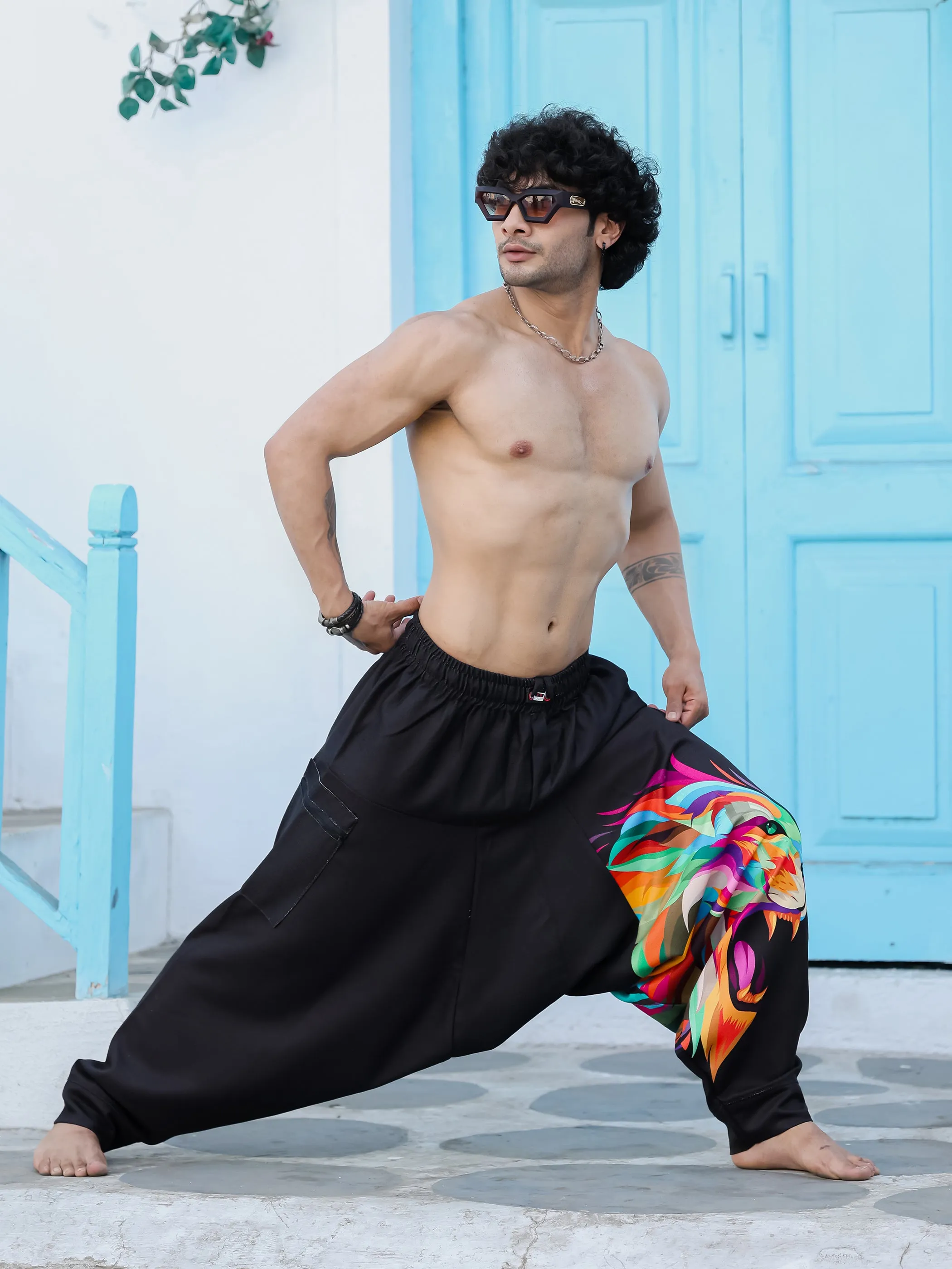 Men's Lion Print Baggy Aladdin Harem Pants For Travel Dance Yoga