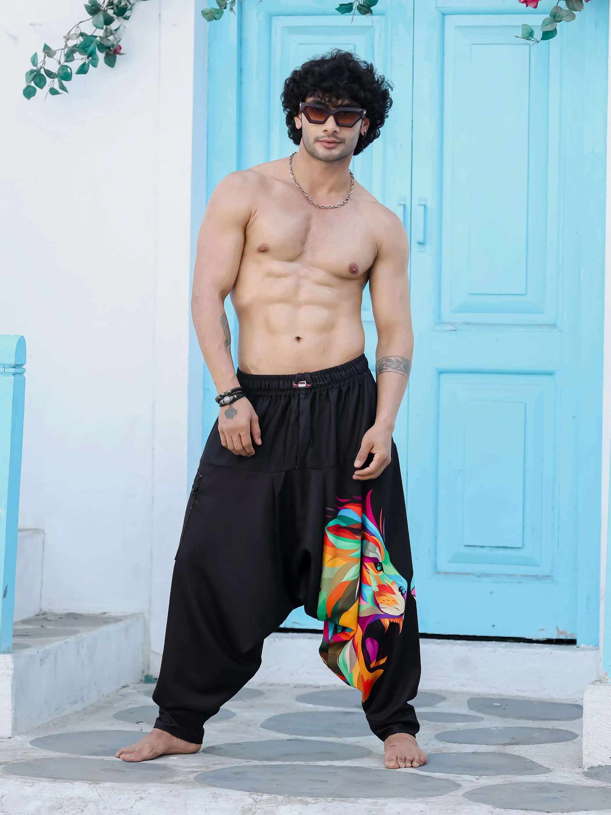 Men's Lion Print Baggy Aladdin Harem Pants For Travel Dance Yoga