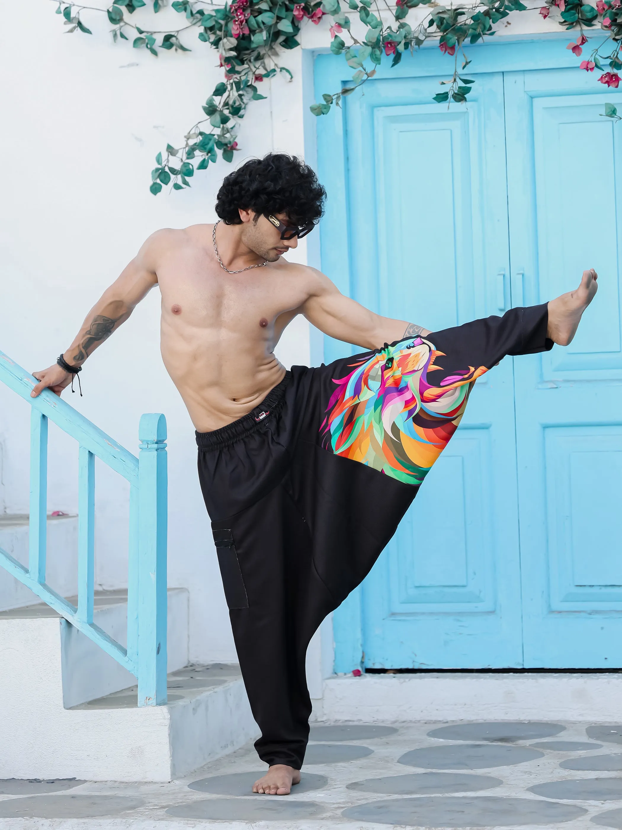 Men's Lion Print Baggy Aladdin Harem Pants For Travel Dance Yoga